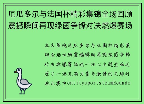 厄瓜多尔与法国杯精彩集锦全场回顾震撼瞬间再现绿茵争锋对决燃爆赛场